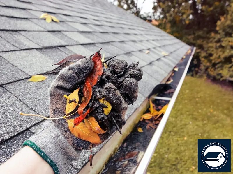 Gutter cleaning in Alaska